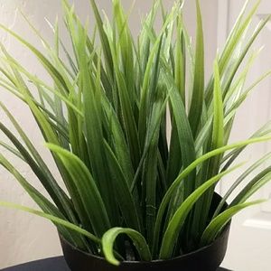 Meet your Posher, Nalani